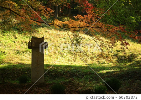 秋天的風景秋天的景色 60202872