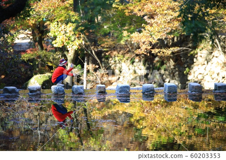 秋天的風景秋天的景色 60203353