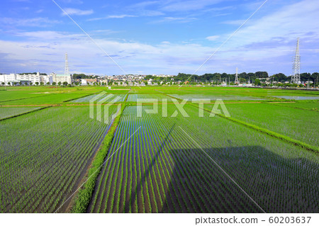 Ebina countryside 01 60203637