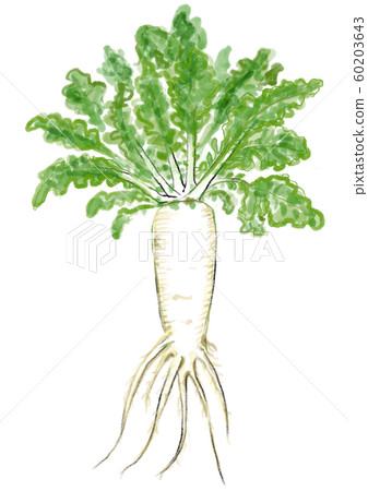 蘿蔔D手繪 蘿蔔D手繪 60203643