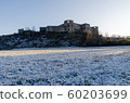 Castle ruin by the city of Borgholm in Sweden 60203699