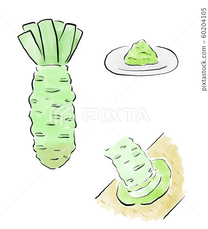 wasabi  60204105