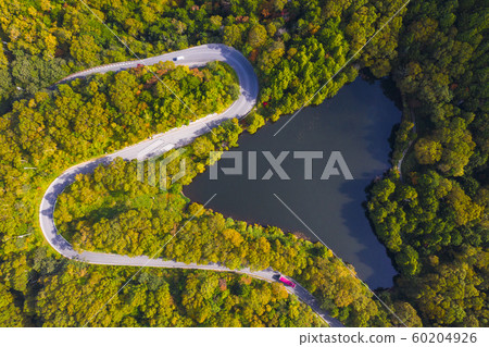 Aerial view of winding road on mountain in Autumn 60204926