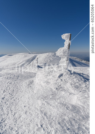 從熊野山到地藏山的山路 60205064
