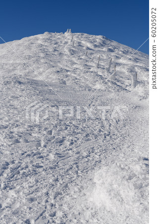 從熊野山到地藏山的山路 60205072