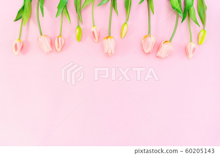 Valentine's Day composition. Tulip flowers on pink background. Valentine's day, Mother's day concept Valentine's Day composition. Tulip flowers on pink background. Valentine's day, Mother's day concept 60205143