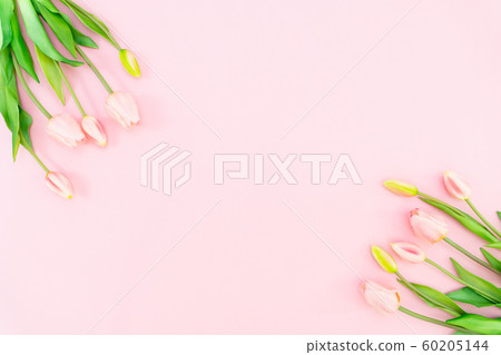 Valentine's Day composition. Tulip flowers on pink background. Valentine's day, Mother's day concept Valentine's Day composition. Tulip flowers on pink background. Valentine's day, Mother's day concept 60205144