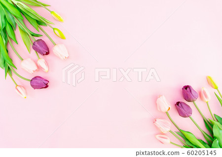 Valentine's Day composition. Tulip flowers on pink background. Valentine's day, Mother's day concept 60205145
