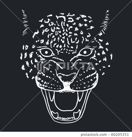 Amur Leopard Roar face or head. Hand drawn Leopard Head animal or predator isolated on white background. Vector 60205351