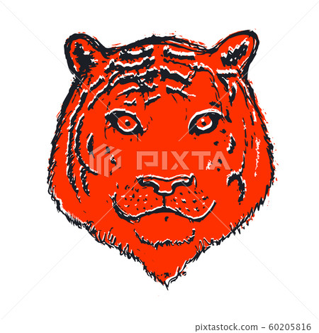 Tiger face or head. Hand drawn Tiger Head animal or predator isolated on white background. Vector Tiger face or head. Hand drawn Tiger Head animal or predator isolated on white background. Vector 60205816