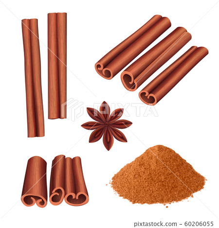 Cinnamon spice. Herbs dessert aromatic food stick cinnamon bark vector illustration 60206055