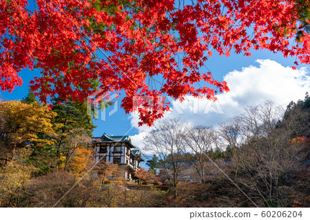 Fall of Nikko Fall of Nikko 60206204