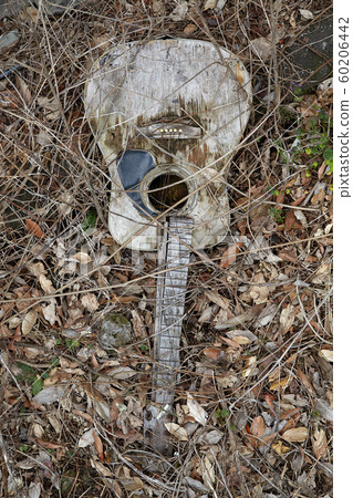 濟州島,被遺棄的房子,空房子,其他,被遺棄的其他, 濟州島,被遺棄的房子,空房子,其他,被遺棄的其他, 60206442