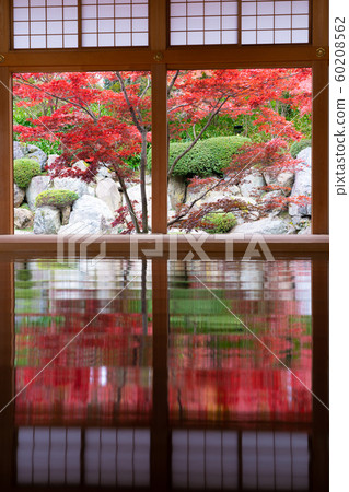 Autumn at Hotokuji 60208562