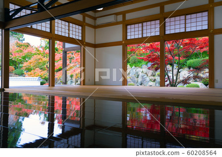 霍藤寺的秋天 60208564