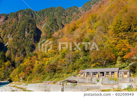 [富山縣黑部市]黑部峽谷的紅葉 60209949