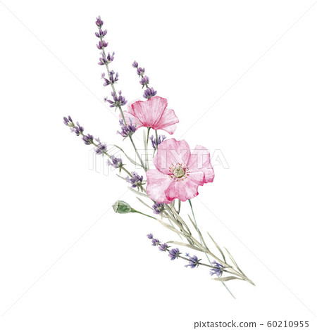 Beautiful watercolor floral bouquet with isolated lavanda and pink poppy flowers. Stock illustration. 60210955
