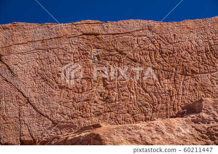 Petroglyphs at Yerbas buenas rocks in Atacama desert 60211447