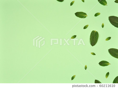 Texture or pattern with mint leaves isolated on mint background Texture or pattern with mint leaves isolated on mint background 60211610