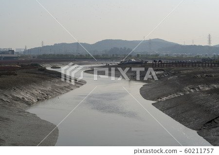 仁川南洞區索拉濕地生態公園 仁川南洞區索拉濕地生態公園 60211757