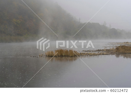 Donggang, Yeongwol-gun, Gangwon-do 60212472