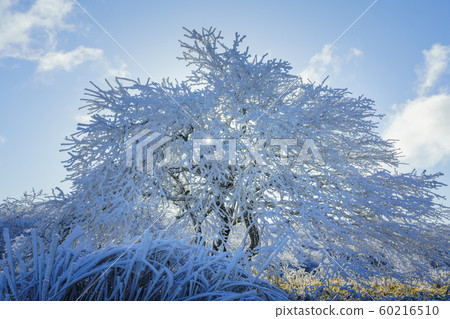 Nagano _ Takabotchi Plateau _ Rime Nagano _ Takabotchi Plateau _ Rime 60216510