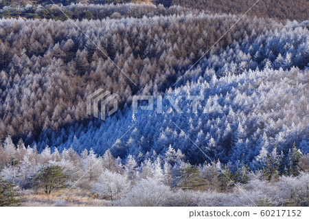 Nagano _ rime of the high bocce plateau 60217152