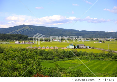 Scenery seen from Hifu heavy snow observation open space Scenery seen from Hifu heavy snow observation open space 60217485