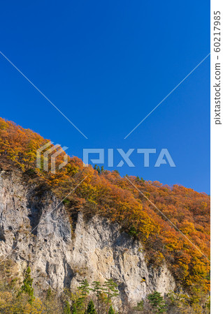 Yamanashi_Colored leaves image of Hokuto city Yamanashi_Colored leaves image of Hokuto city 60217985