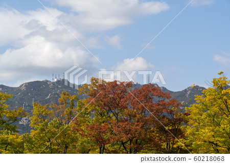 Gwanak,Gwongon,Gyeonggi Gwanak,Gwongon,Gyeonggi 60218068