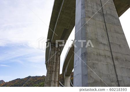 Viaduct expressway pier infrastructure bridge 60218393