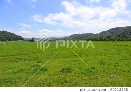 Hokkaido ranch Hokkaido ranch 60218398