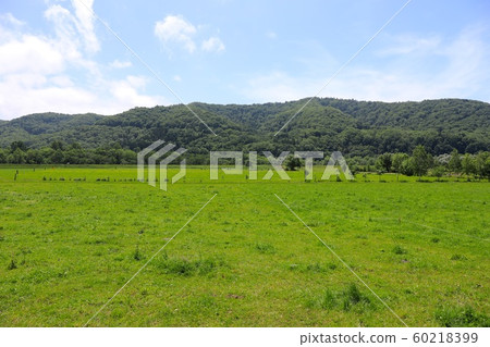Hokkaido ranch Hokkaido ranch 60218399