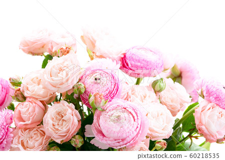 fresh rose flowers fresh rose flowers 60218535