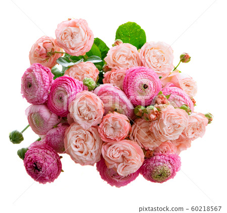 fresh rose flowers fresh rose flowers 60218567