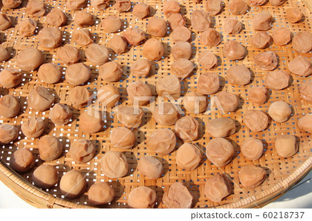 咸梅 咸梅 60218737