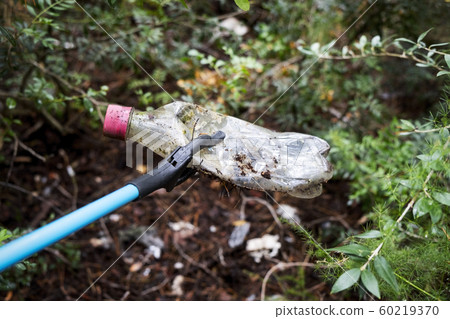 collecting garbage in the forest 60219370
