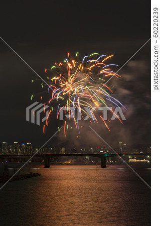 首爾汝ou島煙花節 60220239