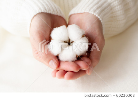 cotton cotton 60220308
