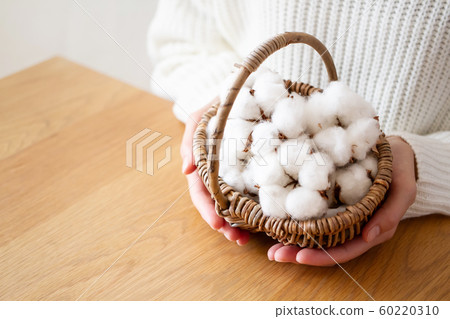 棉花 60220310