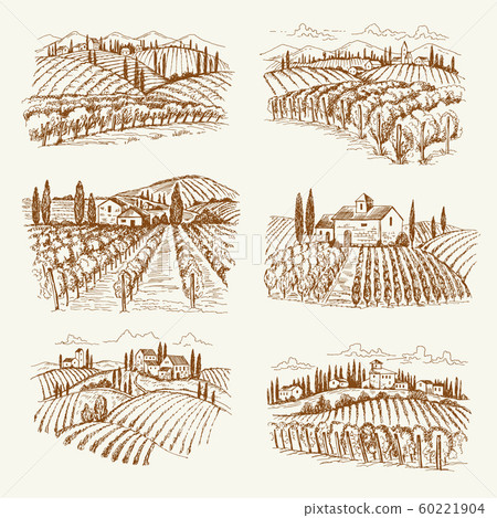 Vineyard landscape. France or italy vintage village wine vineyards vector hand drawn illustrations Vineyard landscape. France or italy vintage village wine vineyards vector hand drawn illustrations 60221904