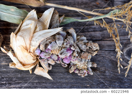 Corn smut (Ustilago zeae Unger). Ustilago maydis Corn smut (Ustilago zeae Unger). Ustilago maydis 60221946