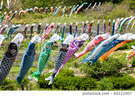 [Yamanashi Prefecture] Koinobori 60222007
