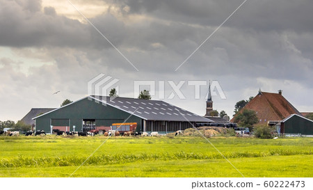 Dairy farm barn on dutch countryside Dairy farm barn on dutch countryside 60222473