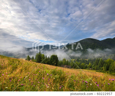 Amazing mountain landscape with fog Amazing mountain landscape with fog 60222957