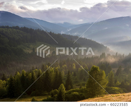 Beautiful mountain landscape with wooded slopes Beautiful mountain landscape with wooded slopes 60223585
