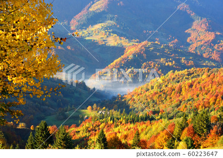 Beautiful autumn mountain landscape Beautiful autumn mountain landscape 60223647