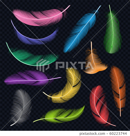 Colored feathers. Eye catcher native american decoration vector realistic template of air fly feathers 60223744