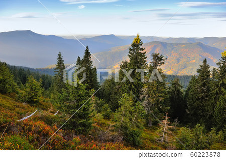 Amazing mountain landscape with colorful herbs. Amazing mountain landscape with colorful herbs. 60223878