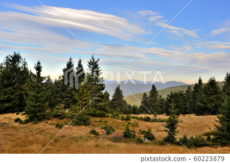 Amazing mountain landscape with colorful herbs. Amazing mountain landscape with colorful herbs. 60223879